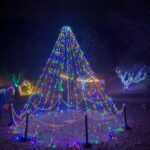 A beautifully lit Christmas tree stands tall in a darkened area, surrounded by a fence.