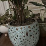 A blue vase with a plant in it sits on a table.