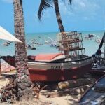 A boat sits on the beach, surrounded by other boats and a palm tree.