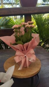 A bouquet of pink flowers is wrapped in a pink bow and placed in a pink vase.