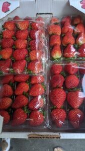 A box of fresh strawberries is displayed, ready for purchase.