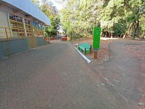 A brick roadway with a bench on the side.