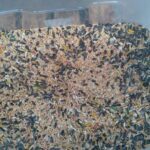 A close up of a container filled with birdseed.
