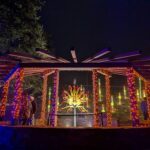 A couple stands under a canopy of lights, admiring the vibrant display of colorful flowers.