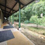 A covered walkway with a green roof and a view of the forest.