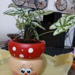 A cute little plant in a red pot with a face painted on it.