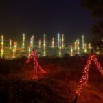 A field of red and yellow lights, creating a festive atmosphere.