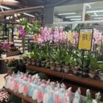 A flower shop with a variety of flowers and potted plants.