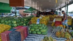 A fruit stand with a variety of fruits, including watermelons and oranges.
