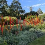 A garden with a variety of flowers and plants, including a row of red and yellow flames.