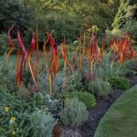 A garden with a variety of flowers and plants, including a row of red and yellow flowers.