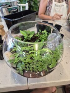 A glass bowl filled with plants and rocks sits on a table.