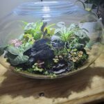 A glass bowl filled with various plants and rocks.