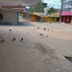 A group of birds are gathered on the street, with some of them standing on the sidewalk.