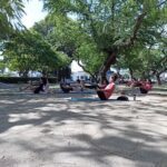 A group of people are doing yoga in a park.