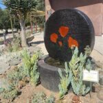 A large black circle with orange flowers on it.