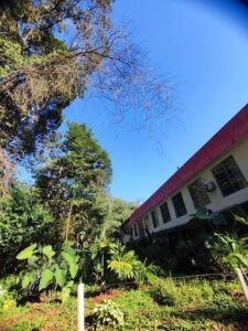 A large building with a red roof is surrounded by trees and plants.
