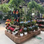 A large display of colorful flowers in pots.