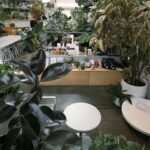 A large indoor plant nursery with a variety of plants and potted plants.
