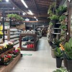 A large indoor plant store with a variety of plants and flowers.