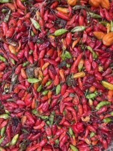 A large pile of red peppers, including jalapenos, are displayed in a vibrant and colorful arrangement.