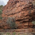 A large rock formation with a tree growing out of it.