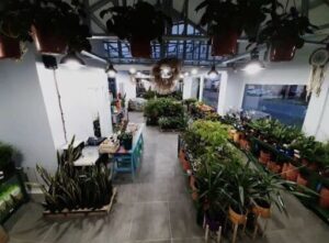 A large room filled with many potted plants and a table.