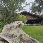 A large tree stump sits in front of a wooden building, surrounded by green grass and trees.