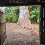 A large tree trunk with a hole in it sits in front of a doorway.