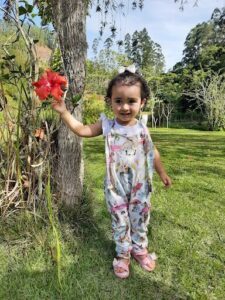 A little girl is holding a red flower in her hand, standing in front of a tree.