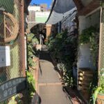 A man is walking down a pathway between two buildings, one of which is a nursery.