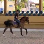 A man riding a horse in a corral.