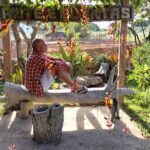 A man sits on a tree stump, surrounded by flowers and plants.
