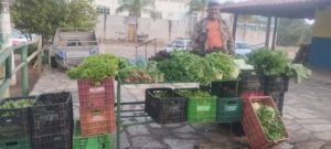 A man stands next to a cart full of fresh vegetables, including lettuce and broccoli.