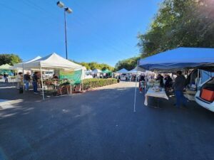 A marketplace with a variety of vendors, including a man selling food.