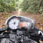 A motorcycle with a broken speedometer is parked in the woods.