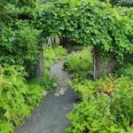 A pathway through a garden with a fence and a gate.
