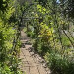 A pathway through a garden with a metal archway over it.