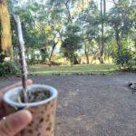 A person holding a cup of tea in a wooded area.
