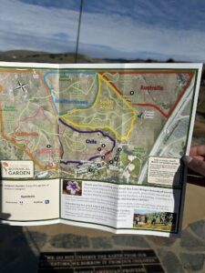 A person is holding a map of a botanical garden.