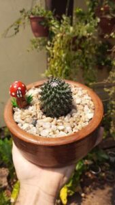 A person is holding a pot with a cactus and a mushroom in it.