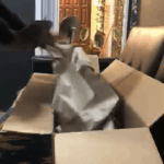 A person is opening a box filled with tissue paper.