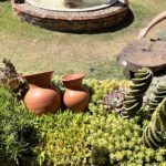 A person is reaching for a wooden object in a garden filled with various plants, including a fountain.