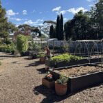A person is standing in a garden with a variety of plants and potted plants.