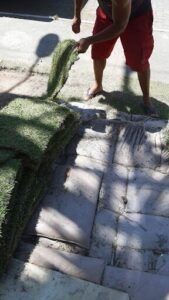 A person is standing on a pile of grass, possibly preparing to use it for a project or simply admiring the grass.