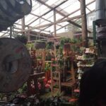 A person standing in a greenhouse filled with various plants and flowers.