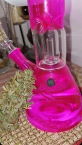 A pink glass vase with a marijuana plant in it.