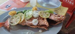 A plate of food with tomatoes, onions, and limes.