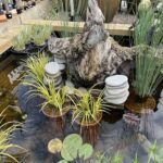 A pond with a fountain and a tree stump.