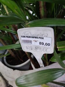 A price tag for a plant is displayed in a pot.